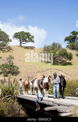 Reiter unter brechen, Pakiri Beach, Auckland, Neuseeland Stockfoto