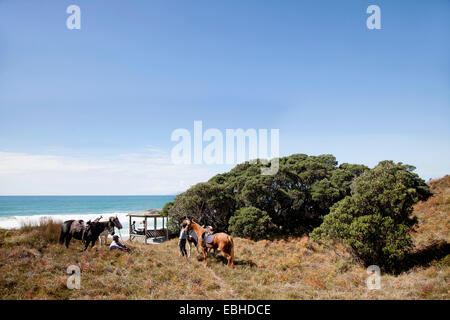 Reiter unter brechen, Pakiri Beach, Auckland, Neuseeland Stockfoto