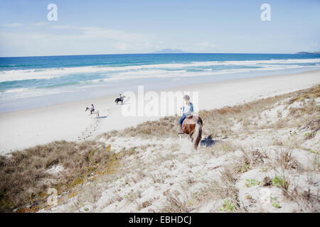 Pferd Reiten, Pakiri Beach, Auckland, Neuseeland Stockfoto