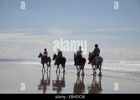 Pferd Reiten, Pakiri Beach, Auckland, Neuseeland Stockfoto