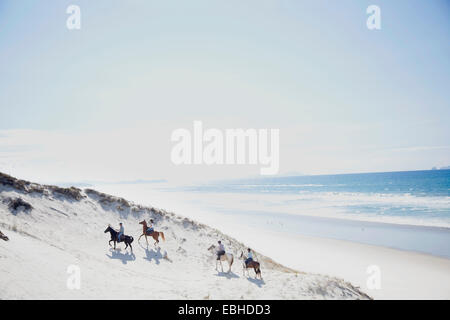 Pferd Reiten, Pakiri Beach, Auckland, Neuseeland Stockfoto