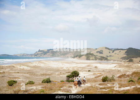 Pferd Reiten, Pakiri Beach, Auckland, Neuseeland Stockfoto