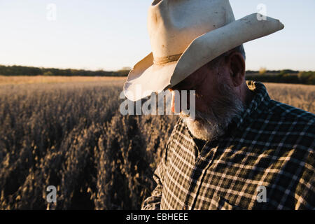 Ältere männliche Bauer blickte auf Soja-Ernte, Plattsburg, Missouri, USA Stockfoto