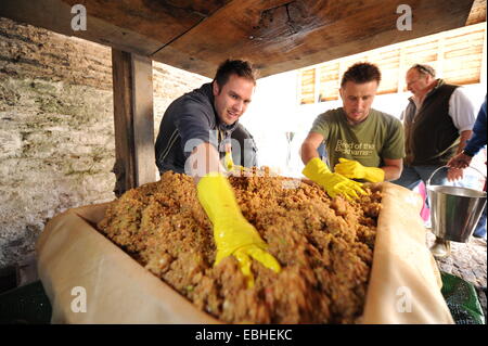 Herstellung von Apfelwein in Devon UK Stockfoto