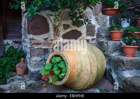 Ein Fragment der alten äußeren Keramikvase und Pflanzen auf der Steinmauer Hintergrund. Geringe Schärfentiefe. Stockfoto