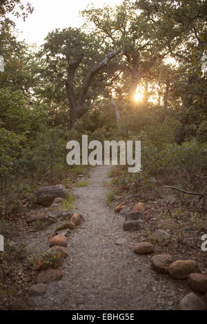 Pfad im Wald bei Sonnenuntergang, Wichita Mountains National Wildlife Refuge, Indiahoma, Oklahoma, USA Stockfoto