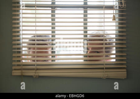 Zwei jungen spähte durch Fenster mit Jalousie Stockfoto