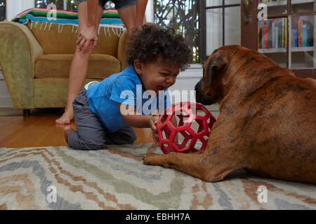 Männliche Kleinkind spielen mit Hund Erdgeschoss Wohnzimmer Stockfoto