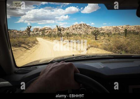 Des Fahrers Hand am Rad des Autos, Joshua Tree Nationalpark, Kalifornien, USA Stockfoto