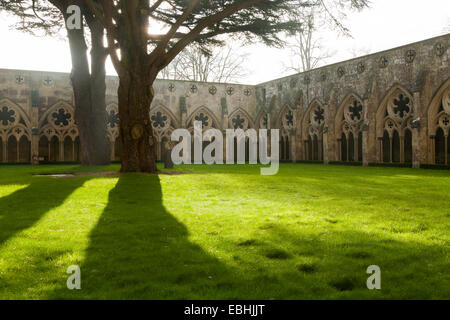 Kathedrale – das Kloster Garth – Garten mit Rasen, der Kathedrale von Salisbury im Herbst / Winter. Salisbury. VEREINIGTES KÖNIGREICH. Stockfoto