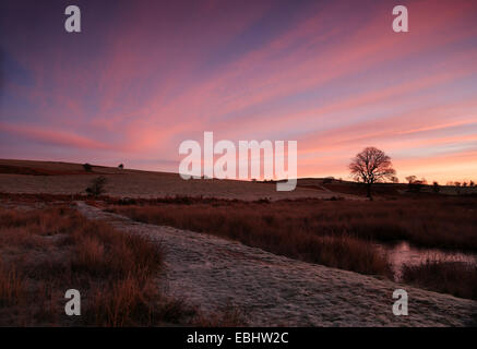 Wunderschönen Sonnenaufgang auf der Begwns häufig in der Nähe von Painscastle und Hay on Wye in Powys, Wales Stockfoto