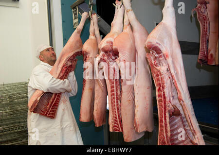 Fleisch-Kadaver in einer Abottoir hängen Stockfoto