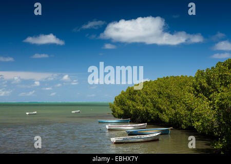 Mauritius, Poudre d ' or Boote neben Mangroven Stockfoto