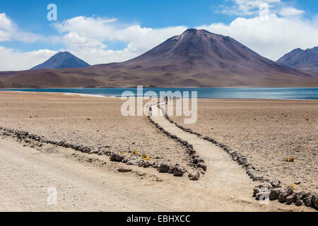 Chile Altiplano Miscanti Lagune in der Nähe von San Pedro de Atacama Stockfoto