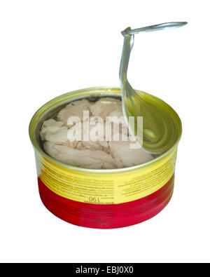 Fischkonserven mit Lebertran auf dem weißen Hintergrund isoliert Stockfoto