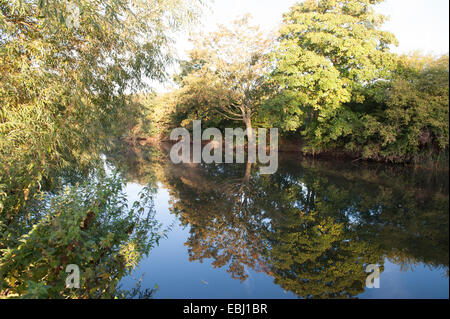 Earl Morgen Szene des Avon in Stratford Warwickshire, England, UK Stockfoto