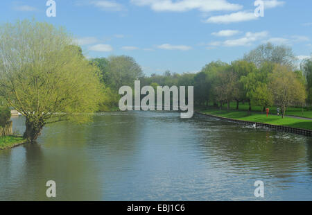 Earl morgen Frühling Landschaft am Fluss Avon in Stratford-upon-Avon, Warwickshire, England, Großbritannien Stockfoto