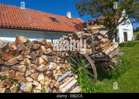 Brennholz stapeln sich in Pfählen vor einem Cottage, Gartenlager Stockfoto