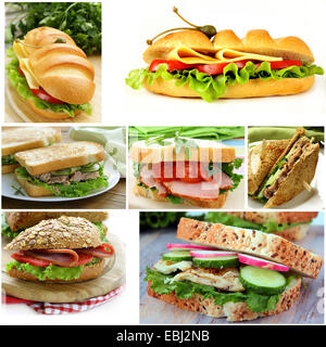 Collage aus verschiedenen Sandwiches (Schinken und Käse, Thunfisch und Gurken) Stockfoto