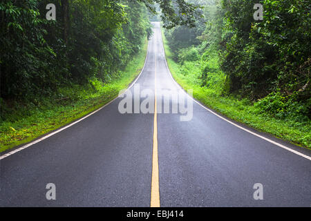 Straße und grün Wald, Khao Yai Nationalpark Thailand Stockfoto