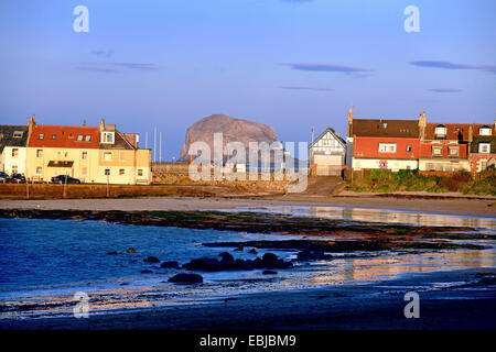 Blick auf dem Bass Rock von West Bay, North Berwick, East Lothian, Schottland. Stockfoto