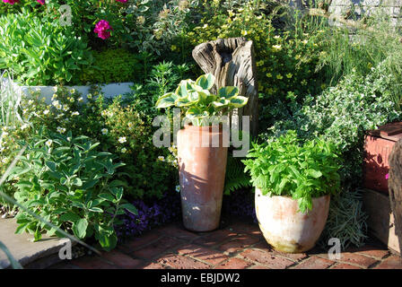 Die Landarbeiter Bauerngarten, Chelsea Flower Show 2007, London, UK. Stockfoto