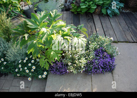 Die Landarbeiter Bauerngarten, Chelsea Flower Show 2007, London, UK. Stockfoto