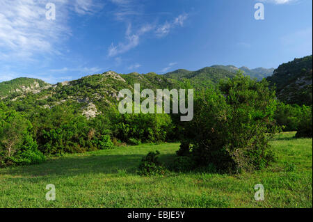 Wiese am Fuße des Olymp, Lebensraum für Orchideen, Griechenland, Mazedonien, Olymp Stockfoto