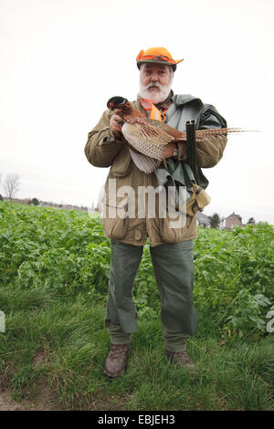 gemeinsamen Fasan, Kaukasus Fasane, kaukasische Fasan (Phasianus Colchicus), Shooter eine Treibjagd stehen am Rande eines Feldes mit einem Fasan gejagt in Händen, Deutschland Stockfoto