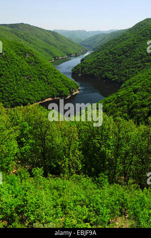 Verlauf des Flusses Nestos unter dicht bewaldete Hänge, Griechenland, Rhodopen Stockfoto