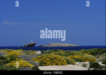 gestrandetes Schiff vor der Insel Kythira, Griechenland, Kythira Stockfoto