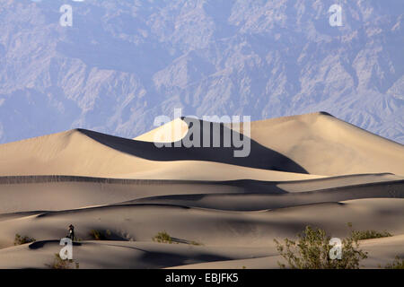 Naturfotograf in Sanddünen vor drohenden monumental Felswand, Stovepipe Wells, Death-Valley-Nationalpark, California, USA Stockfoto