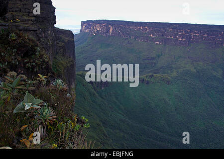 Tafelberge Mount Roraima (links) und Kukenam Tepui (hinten) von La Ventana, Venezuela, Canaima National Park gesehen Stockfoto