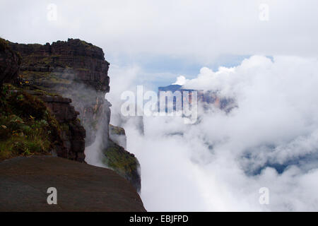 Tafelberge Mount Roraima (links) und Kukenam Tepui (hinten) von La Ventana, Venezuela, Canaima National Park gesehen Stockfoto