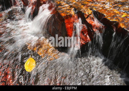 Jasper Flussbett, Quebrada de Jaspe, Venezuela, Canaima National Park Stockfoto