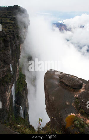 Tafelberge Mount Roraima (links) und Kukenam Tepui (hinten) von La Ventana, Venezuela, Canaima National Park gesehen Stockfoto