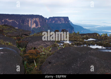 Tafelberge Mount Roraima (links) und Kukenam Tepui (hinten) von La Ventana, Venezuela, Canaima National Park gesehen Stockfoto