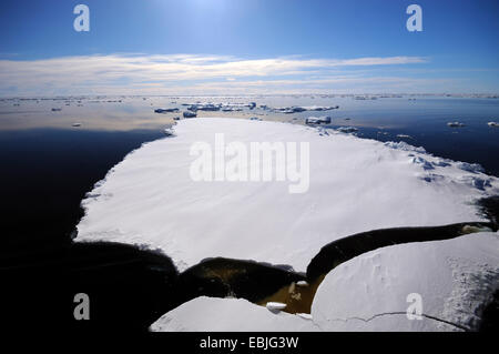 Eisfläche auf dem South Polar Ozean aufgebrochen Eisschollen, Antarktis Stockfoto