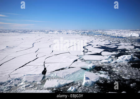 Eisfläche auf dem South Polar Ozean in Eisschollen gebrochen durch ein Eisbrecher, Antarktis Stockfoto