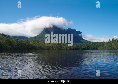 Rio Carrao und Auyantepui table Mountain, Venezuela, Camaina Nationalpark, Auyan Tepui Stockfoto