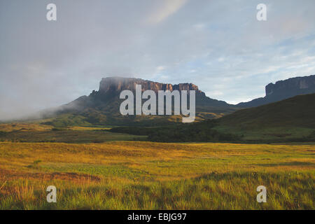 Kukenan Tepui und Roraima Tepui im Morgen Licht, Venezuela, Canaima National Park Stockfoto