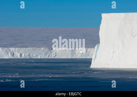 Rand eines Eisbergs Tisch in der Nähe der Eisberg Ruhe legen Austasen, Antarktis Stockfoto