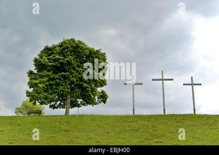 Linde, Linden, Linde (Tilia spec.), einziger Baum auf einem Rasen gewachsen Hügel mit einer Holzbank und drei große Holzkreuze, Kreuzberg, Oberpfalz, Bayern, Deutschland Stockfoto