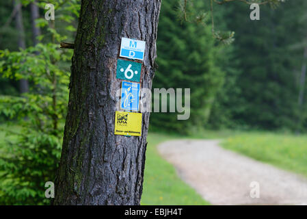 Trekking Marken bei einem Baum, Deutschland, Bayern, Oberpfalz Stockfoto