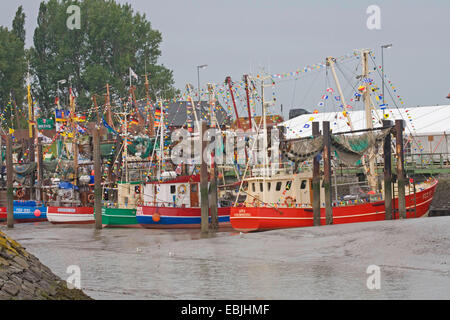 Fräser mit bunten Wimpeln im Hafen, Kutter-Regatta, Deutschland, Niedersachsen, Fedderwardersiel Stockfoto