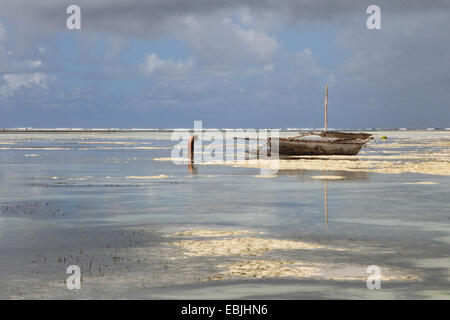 Dhau bei Ebbe am Strand, Tansania, Sansibar Stockfoto