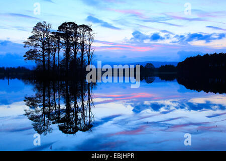 Loch Mallachie in Twilight, Großbritannien, Schottland, Cairngorm National Park Stockfoto