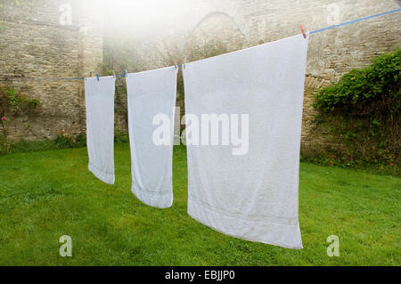 Drei weiße Handtücher auf Wäscheleine im Garten Stockfoto