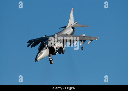 Hawker Harrier, schweben Stockfoto