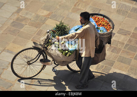 Obst und Gemüse zu verkaufen in Taschen und einem Korb auf Fahrrad, Nepal, Kathmandu Stockfoto